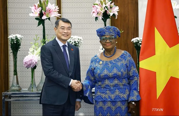 Thủ tướng Chính phủ Lê Minh Hưng tiếp Tổng Giám đốc WTO