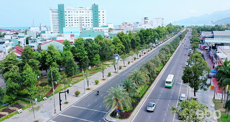 Quy hoạch cây xanh đường phố cho Quy Nhơn