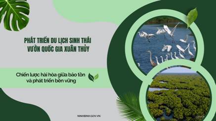Ninh Bình duyệt Đề án phát triển du lịch sinh thái tại Vườn quốc gia Xuân Thủy hơn 464 tỷ đồng