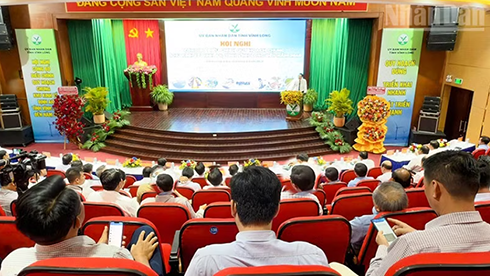 Vĩnh Long công bố điều chỉnh quy hoạch chung Khu kinh tế Định An đến năm 2040