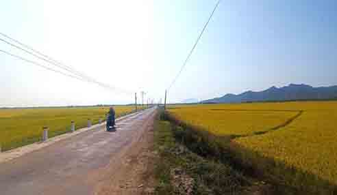 Lấy ý kiến Nhân dân về điều chỉnh Quy hoạch Khu công nghiệp Vạn Lương