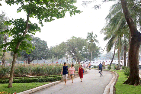Bộ Xây dựng ban hành Thông tư hướng dẫn quản lý cây xanh đô thị