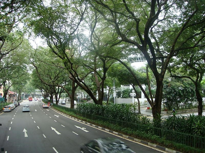 Nghiên cứu thiết kế cây xanh trong các đồ án Quy hoạch đô thị Việt Nam