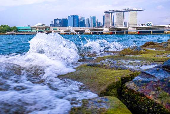 Singapore nỗ lực chống nước biển dâng 