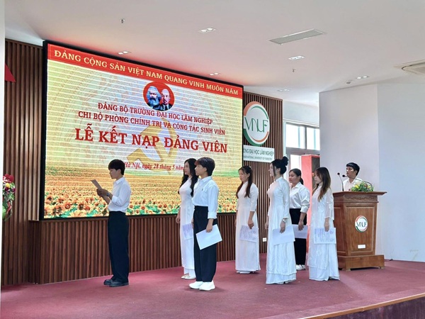 Hướng dẫn mới của Ban Bí thư về thi hành Điều lệ Đảng
