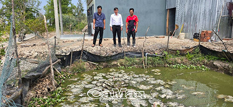 Cuối tháng 5 sẽ hoàn thành xoá nhà tạm